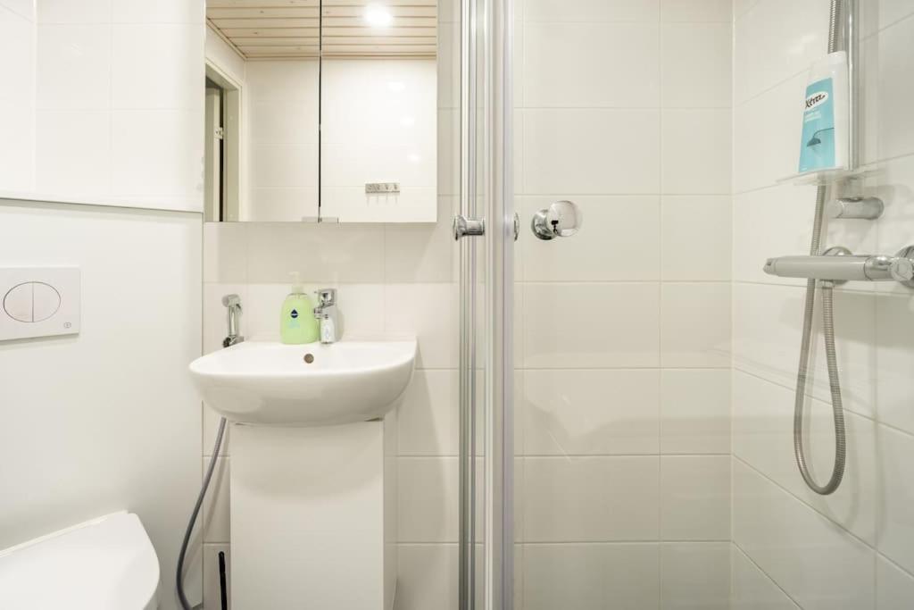 Nordic Haven Rovaniemi Modern Dt 2R Apartment -Self Check-In & Free Wifi Dış mekan fotoğraf